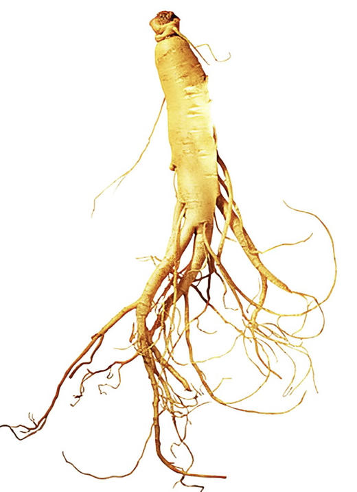 人参 精华。50 ml。 商品图0