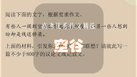 高考优秀作文精选：空谷
