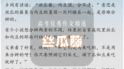 高考优秀作文精选：丝瓜藤 商品图0