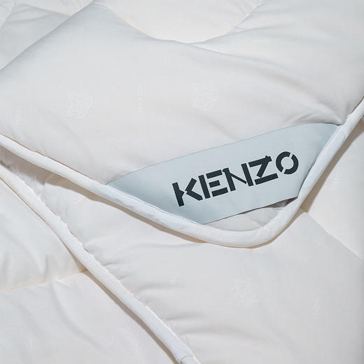 KXW-026 虎头压花大豆纤维冬被 商品图4