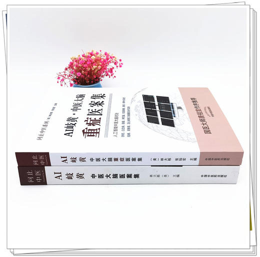 问止中医系列 套装2本 AI岐黄 中医大脑重症医案集+AI岐黄 中医大脑医案集 (美)林大栋 张灿宏 主编 中国中医药出版社 商品图1