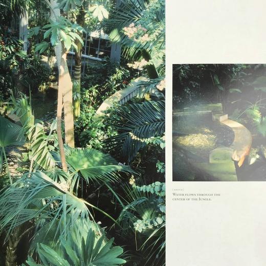 美国植物园图集 数百幅彩色插图 精装大16开 商品图10