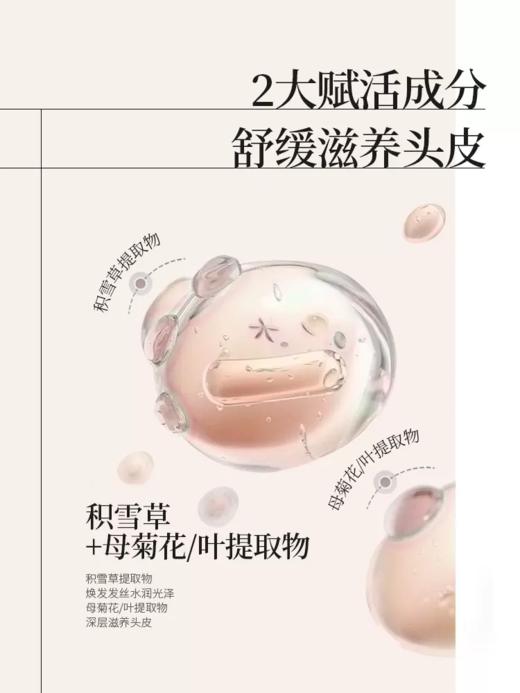 【99元会员福利】若也洗发水套装 （洗发+护发）  商品图7