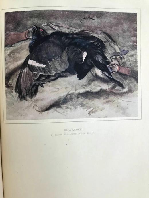 1919年 高地户外运动与自然史 50幅插图（多幅彩色手工贴图） 漆布精装16开 商品图11