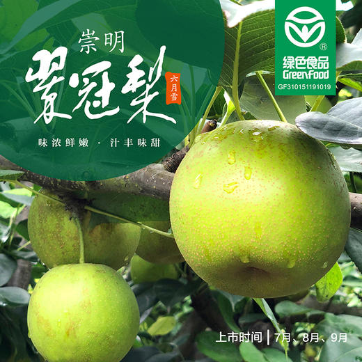 崇明翠冠梨 商品图1