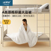 佳丽斯大豆纤维被纯棉加厚保暖A类抗菌被芯 商品缩略图0