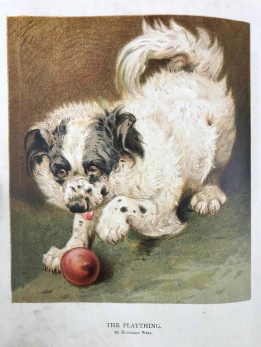 1889年 巧言小筑杂志 数百幅版画插图 漆布精装16开 商品图6