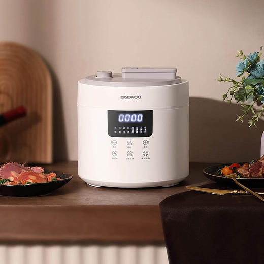 大宇电压力锅DYYL-4027 星云白【分仓直发，72小时发货，周末节假日不发货】 商品图2