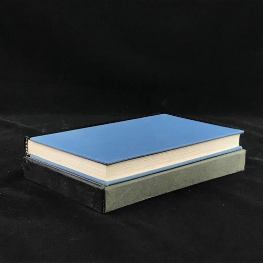 安妮·勃朗特《艾格尼斯·格雷》 8幅插图 精装18开带书匣 商品图1