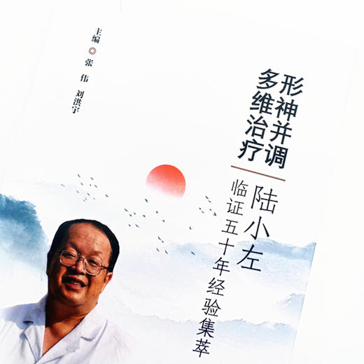 现货【出版社直销】形神并调 多维治疗 陆小左临证五十年经验集粹 张伟 刘洪宇 主编 中国中医药出版社 中医临床书籍 商品图2