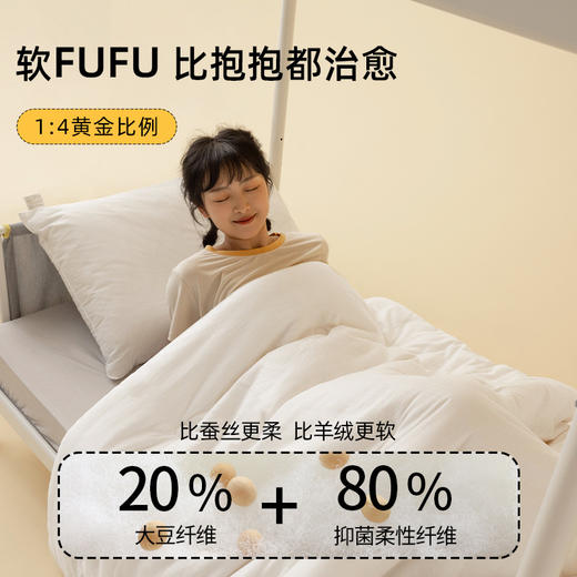 佳丽斯大豆纤维被纯棉加厚保暖A类抗菌被芯 商品图1