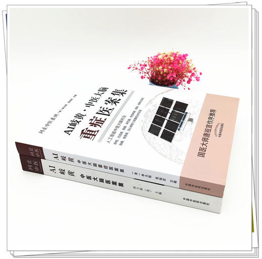问止中医系列 套装2本 AI岐黄 中医大脑重症医案集+AI岐黄 中医大脑医案集 (美)林大栋 张灿宏 主编 中国中医药出版社 商品图4