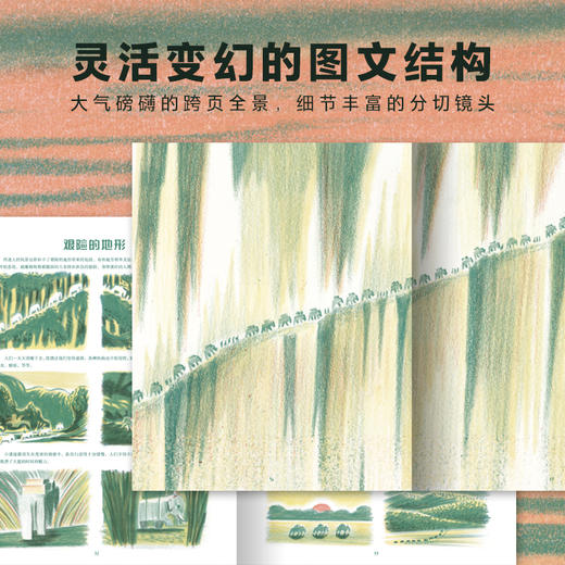 大象班都拉 精装 商品图4