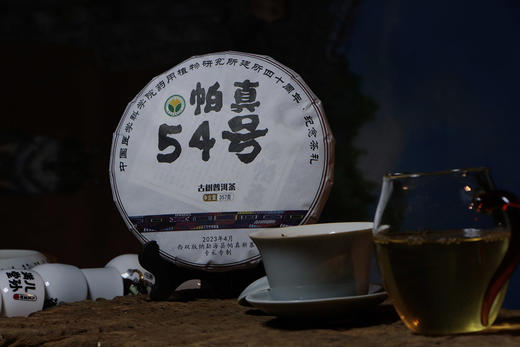一年陈帕真54号古树普洱茶（2023年采制，100克/饼） 商品图3