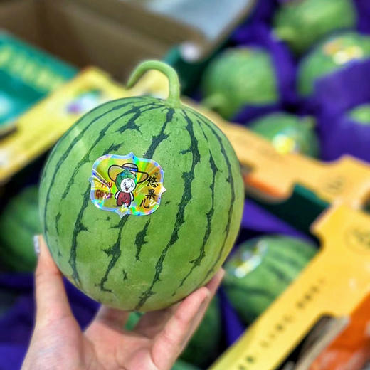 【小糖丸 西瓜】迷你小糖丸西瓜，肉质超嫩，指弹即破，瓜瓤甜美多汁，推荐品尝！ 商品图3