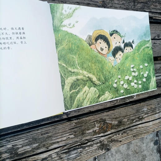 燕子亮亮地叫 6-10岁 王跃文 著 儿童文学 商品图4