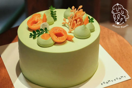 开开杏杏 2.0版（预订） 商品图0