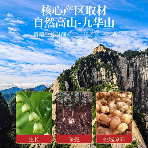 福东海 制黄精 258克 即食九蒸九晒熟黄精 精选 男性滋补即食或泡滋补礼品 商品图6