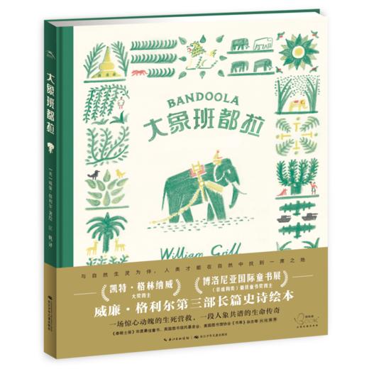大象班都拉 精装 商品图0