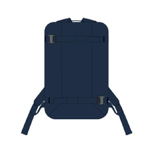 23/24DB包Skate Carry Daypack 20L BH 商品图0