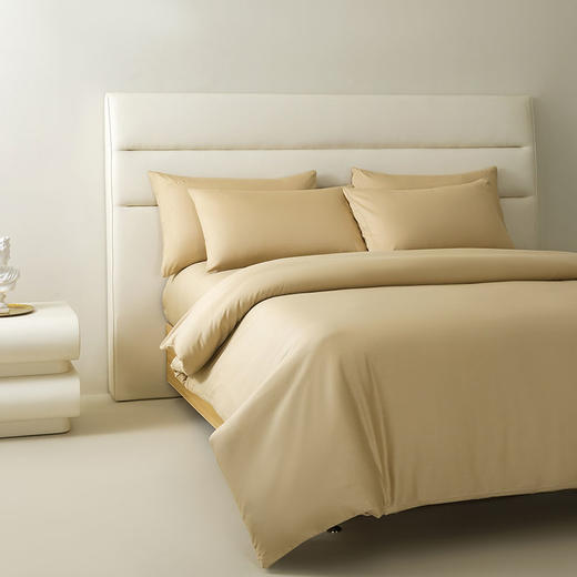 14847-KGD-011 素色贡缎四件套 商品图5