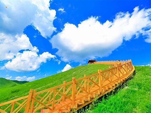 五一2日【坝上草原】坝上正确打开方式の摄影、骑马、篝火、烤全羊、卡拉OK 商品图1