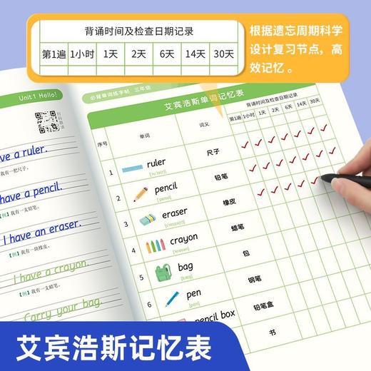 （老会员）小学英语必背单词练字帖同步课本边写边记艾宾浩斯记忆法加强记忆二三四五六年级 商品图12