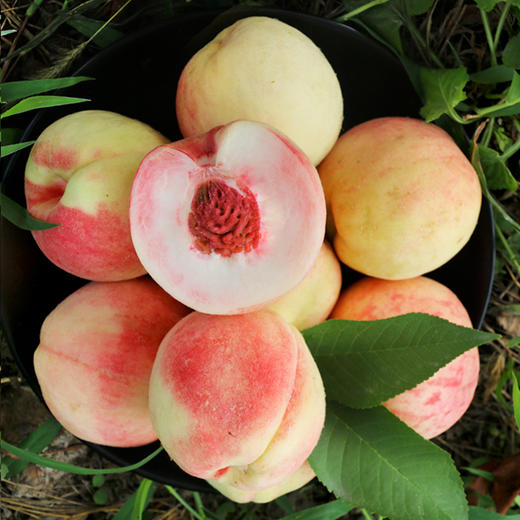 夏日鲜桃尝鲜  平谷水蜜桃 脆甜多汁  桃香味浓  礼盒装 平谷大桃 商品图1