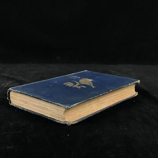1897年 我们最爱的鸣禽 约37幅插图 漆布精装大32开 商品图1