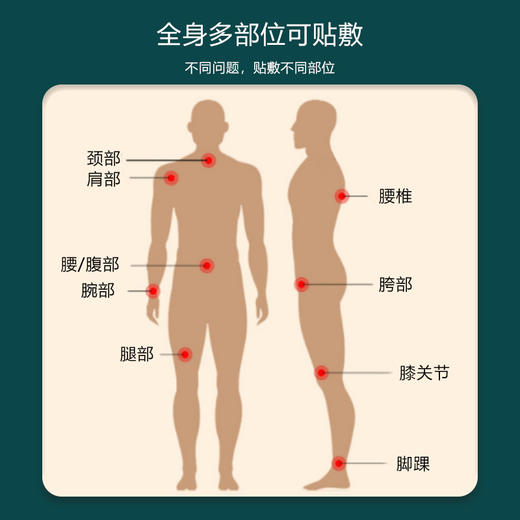 [2025]新款三伏贴冬bing夏治 商品图4