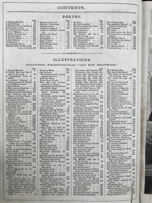 1889年 巧言小筑杂志 数百幅版画插图 漆布精装16开 商品图5