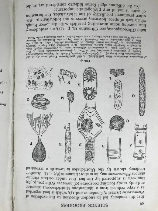 含藏书票！1910年7月-1911年4月 科学发展杂志 配多幅插图 精装18开 商品图8