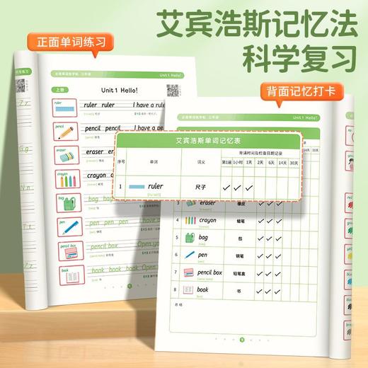 （老会员）小学英语必背单词练字帖同步课本边写边记艾宾浩斯记忆法加强记忆二三四五六年级 商品图2