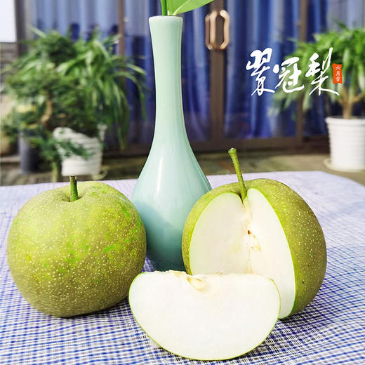 崇明翠冠梨 商品图4