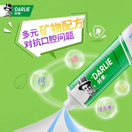 好来双重薄荷多效护理牙膏 180g/支 商品图2