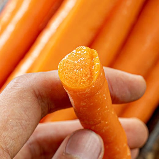 超级长长长的【甜心水果胡萝卜】甜度11+ 清甜爽脆 无木质芯 无土腥味 苗条纤细 胡萝卜界的“娇美人儿” 商品图1