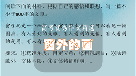 高考优秀作文精选：窗外的画