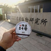 一年陈帕真54号古树普洱茶（2023年采制，100克/饼） 商品缩略图4