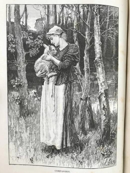 1888年 箭囊杂志 数百幅插图 漆布精装16开 商品图9