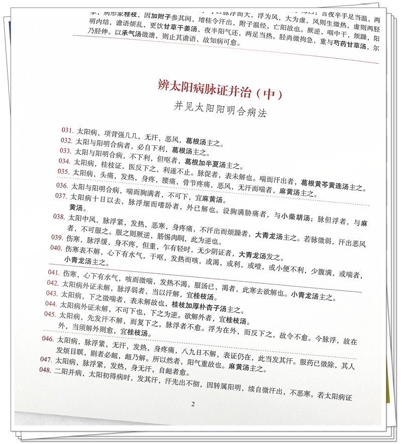 a8.jpg