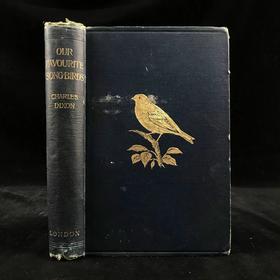 1897年 我们最爱的鸣禽 约37幅插图 漆布精装大32开