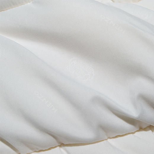 KXW-026 虎头压花大豆纤维冬被 商品图3