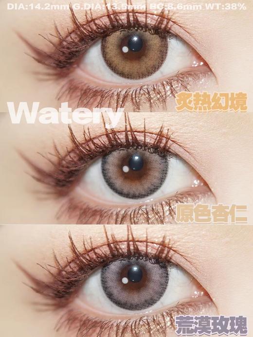 Cococon旗下｜炙热幻境&荒漠玫瑰&原色杏仁｜14.2mm白狮参考着色待测｜ 年抛  2片 商品图2