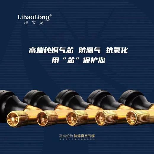 理宝龙高端铜质防爆镀铬帽真空嘴（气门嘴） 商品图2