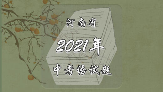 2021年河南省中考语文试题 商品图0