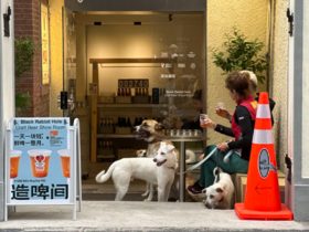 欢迎小狗计划｜带着狗狗来喝酒吧！