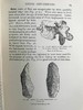 1909年 英格兰史前时代遗物 93幅插图 漆布精装大32开 商品缩略图13