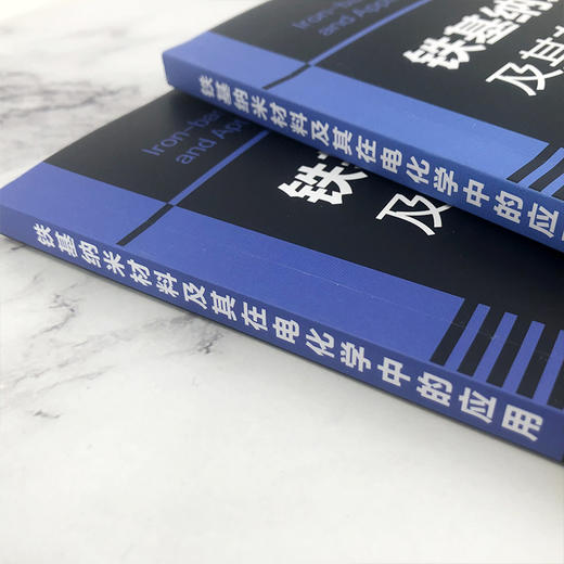 铁基纳米材料及其在电化学中的应用 商品图3