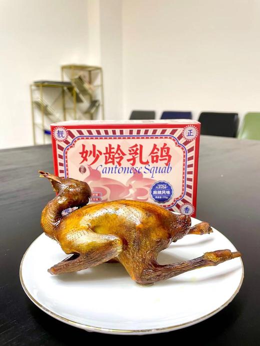 广东美食 妙龄销魂乳鸽  六种口味 3只装  空运包邮 商品图4