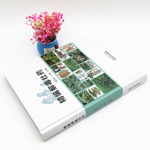 精编解毒壮药（彩图）庞宇舟 方刚 主编 中国中医药出版社 中医临床书籍 商品图2